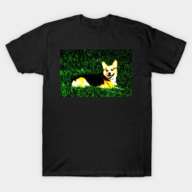 Nugget T-Shirt by ThomasGallant